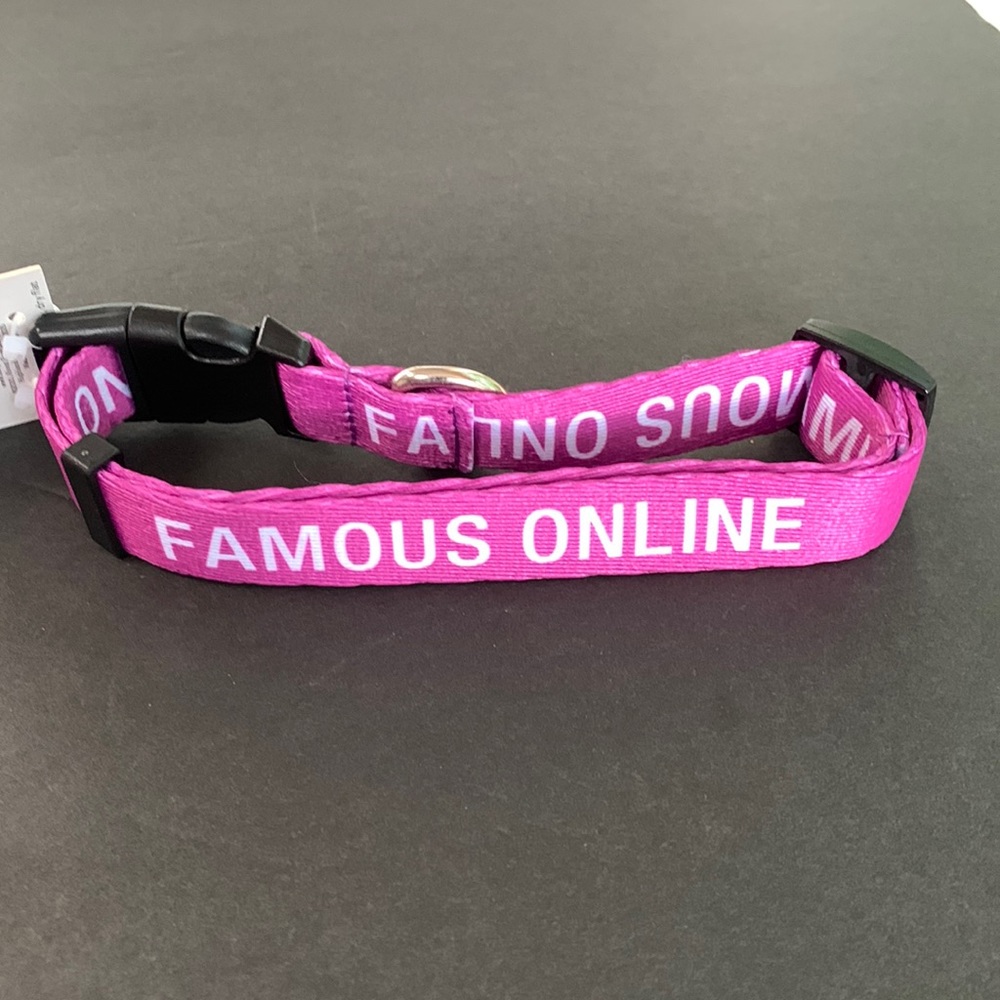 Say What? Purple S/M adjustable collar. ‘Famous Online’
